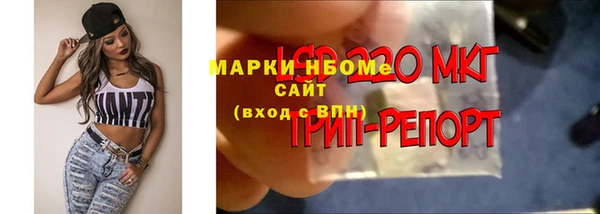 прущие грибы Богородицк